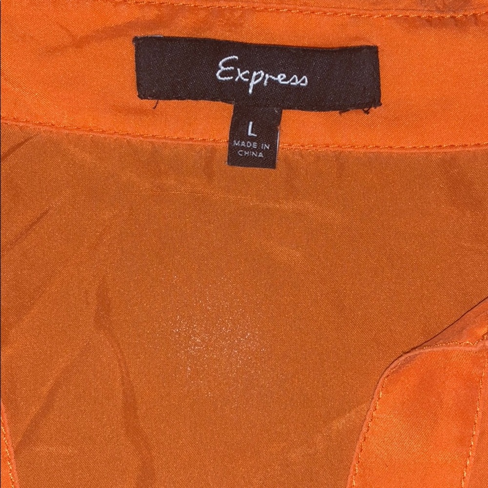 Express Button Down Silk Shirt - image 2